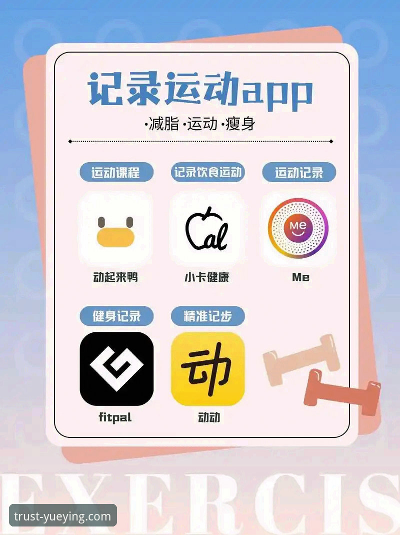 悦盈体育iOS下载实用指南：从安装到使用的完整技术评测