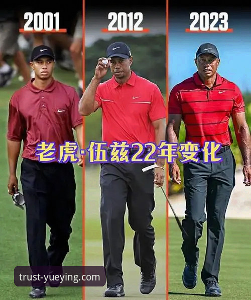 老虎伍兹药物驾驶事件深度解析：从赛场传奇到健康危机使用指南